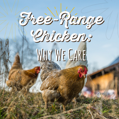 Free-Range Chicken: Why We Care
