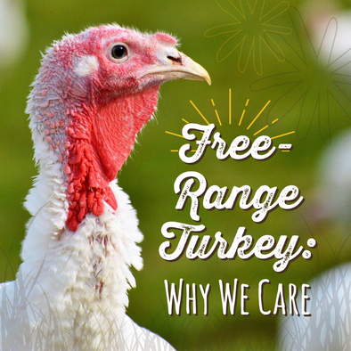 Free-Range Turkey: Why We Care