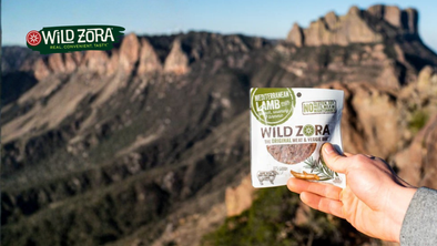 Why Wild Zora's Paleo Soups Are the Meal Solution You've Been Looking For
